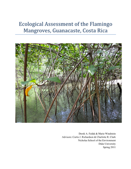 Ecological Assessment of the Flamingo Mangroves, Guanacaste, Costa Rica