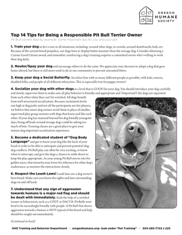 Top 14 Tips for Being a Responsible Pit Bull Terrier Owner Pit Bull Owners Lead by Example