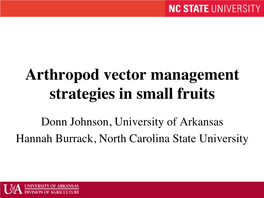 Arthropod Vector Management Strategies in Small Fruits