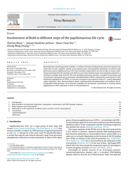 Involvement of Brd4 in Different Steps of the Papillomavirus Life Cycle