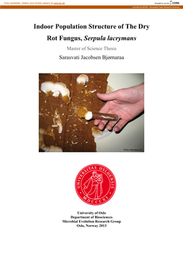 Indoor Population Structure of the Dry Rot Fungus, Serpula Lacrymans Master of Science Thesis Sarasvati Jacobsen Bjørnaraa