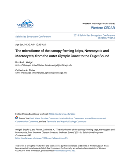 The Microbiome of the Canopy-Forming Kelps, Nereocystis and Macrocystis, from the Outer Olympic Coast to the Puget Sound