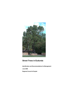 Street Trees in Eudunda