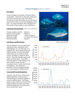 African Pompano (Alectis Ciliaris)