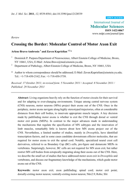 Molecular Control of Motor Axon Exit