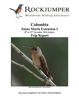 Colombia Santa Marta Extension I 8Th to 13Th November 2016 (6 Days) Trip Report