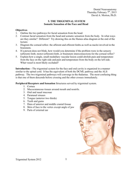 05 Trigeminal System 2013.Pdf