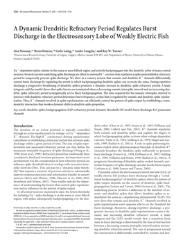 A Dynamic Dendritic Refractory Period Regulates Burst Discharge in the Electrosensory Lobe of Weakly Electric Fish