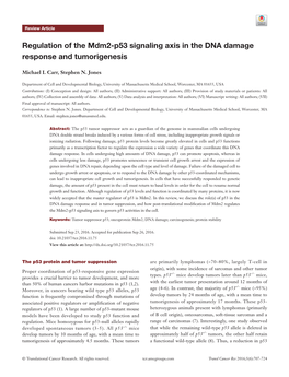 Regulation of the Mdm2-P53 Signaling Axis in the DNA Damage Response and Tumorigenesis