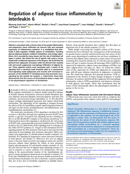 Regulation of Adipose Tissue Inflammation by Interleukin 6