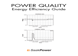 POWER QUALITY Energy Efﬁ Ciency Guide
