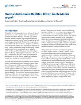 Florida's Introduced Reptiles: Brown Anole (Anolis Sagrei)1