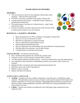 Major Groups of Microbes