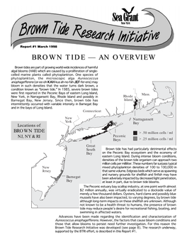 Brown Tidetide —— Anan Overviewoverview