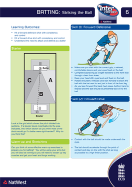 BATTING: Striking the Ball 6