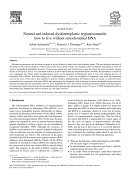 Natural and Induced Dyskinetoplastic Trypanosomatids: How to Live Without Mitochondrial DNA