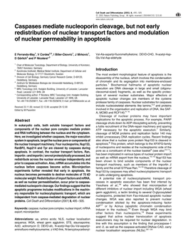 Caspases Mediate Nucleoporin Cleavage, but Not Early Redistribution of Nuclear Transport Factors and Modulation of Nuclear Permeability in Apoptosis