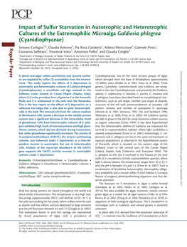 Impact of Sulfur Starvation in Autotrophic and Heterotrophic