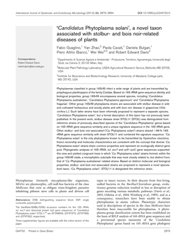 'Candidatus Phytoplasma Solani', a Novel Taxon Associated with Stolbur