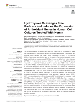 Hydroxyurea Scavenges Free Radicals and Induces the Expression of Antioxidant Genes in Human Cell Cultures Treated with Hemin