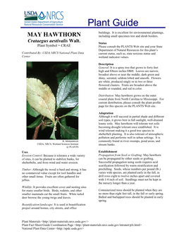 PG-Native Mayhaw