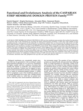 Functional and Evolutionary Analysis of the CASPARIAN STRIP MEMBRANE DOMAIN PROTEIN Family1[C][W]