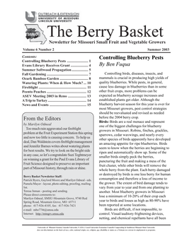 The Berry Basket