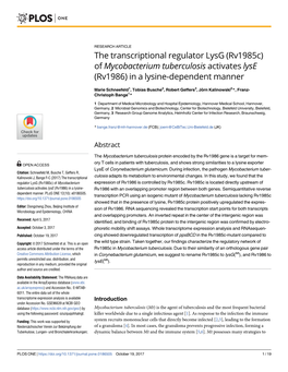 The Transcriptional Regulator Lysg (Rv1985c) of Mycobacterium Tuberculosis Activates Lyse (Rv1986) in a Lysine-Dependent Manner