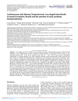 Carbonaceous and Siliceous Neoproterozoic Vase-Shaped Microfossils (Urucum Formation, Brazil) and the Question of Early Protistan Biomineralization