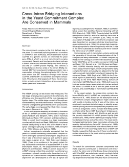 Cross-Intron Bridging Interactions in the Yeast Commitment Complex Are Conserved in Mammals