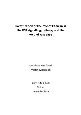 Investigation of the Role of Capicua in the FGF Signalling Pathway and the Wound Response