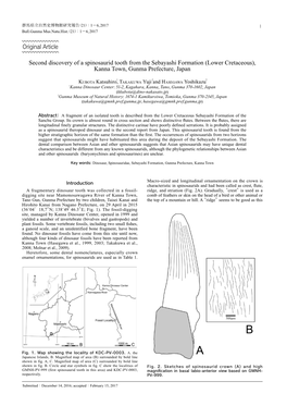 Second Discovery of a Spinosaurid Tooth from the Sebayashi Formation (Lower Cretaceous), Kanna Town, Gunma Prefecture, Japan