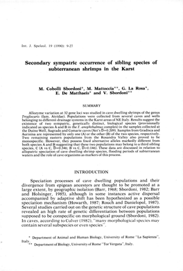 Secondary Sympatric Occurrence of Sibling Species of Subterranean Shrimps in the Karst