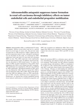 Adrenomedullin Antagonist Suppresses Tumor Formation in Renal