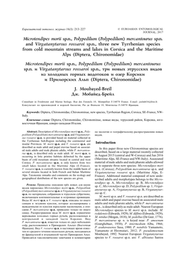 (Polypedilum) Mercantourus Sp.N. and Virgatanytarsus Rossaroi Sp.N., Three New Tyrrhenia