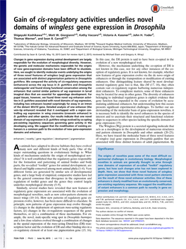 Gain of Cis-Regulatory Activities Underlies Novel Domains of Wingless Gene Expression in Drosophila