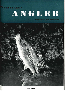 Pennsylvania Angler Pennsylvania Fish Commission