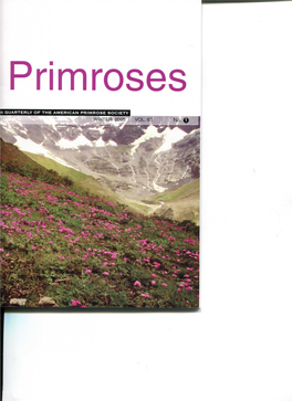 WINTER 2005 VOL. 63 Aniei-K-Im Primrose Noddy WINTHR 2005 Primroses the Quarterly of the American Primrose Society