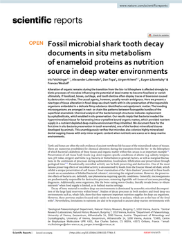 Fossil Microbial Shark Tooth Decay Documents in Situ Metabolism Of