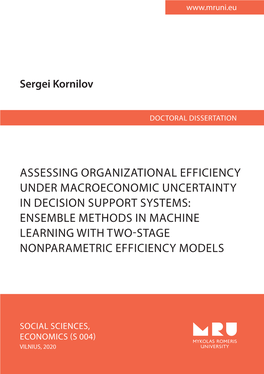 Assessing Organizational Efficiency Under Macroeconomic Uncertainty in Decision Support Systems