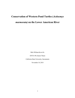 Conservation of Western Pond Turtles (Actinemys