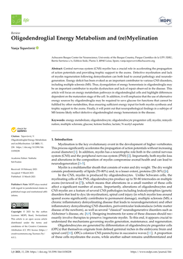 Oligodendroglial Energy Metabolism and (Re)Myelination
