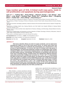 Copy Number Gain of VCX, X-Linked Multi-Copy Gene, Leads to Cell Proliferation and Apoptosis During Spermatogenesis