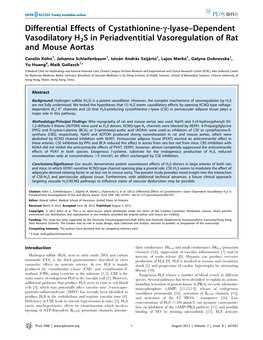 Differential Effects of Cystathionine-C-Lyase–Dependent Vasodilatory H2S in Periadventitial Vasoregulation of Rat and Mouse Aortas