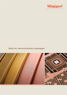 Strip for Semiconductor Packages the Wieland Group