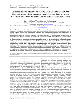 Distribution and Relative Abundance of Tennessee Cave Salamanders (Gyrinophilus Palleucus and Gyrinophilus Gulolineatus) with an Emphasis on Tennessee Populations