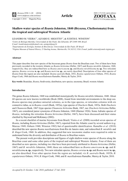 Zootaxa, Shallow-Water Species of Beania Johnston, 1840 (Bryozoa, Cheilostomata) From