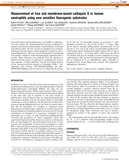 Measurement of Free and Membrane-Bound Cathepsin G In