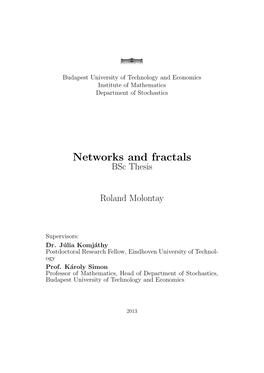 Networks and Fractals Bsc Thesis