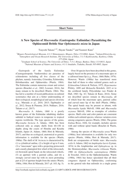 A New Species of Mucronalia (Gastropoda: Eulimidae) Parasitizing the Ophiocomid Brittle Star Ophiomastix Mixta in Japan
